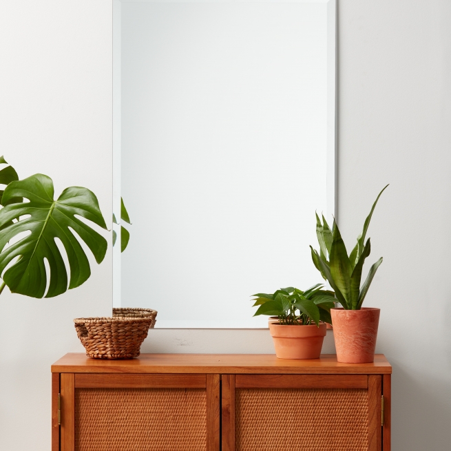 Frameless beveled rectangle mirror copper-free hanging on wall above wood credenza and plants